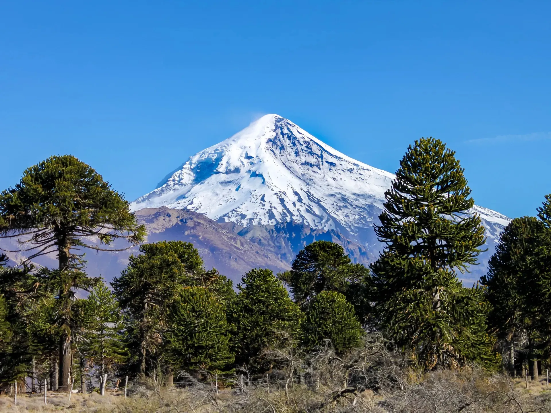San Martin de los Andes - Argentina 5