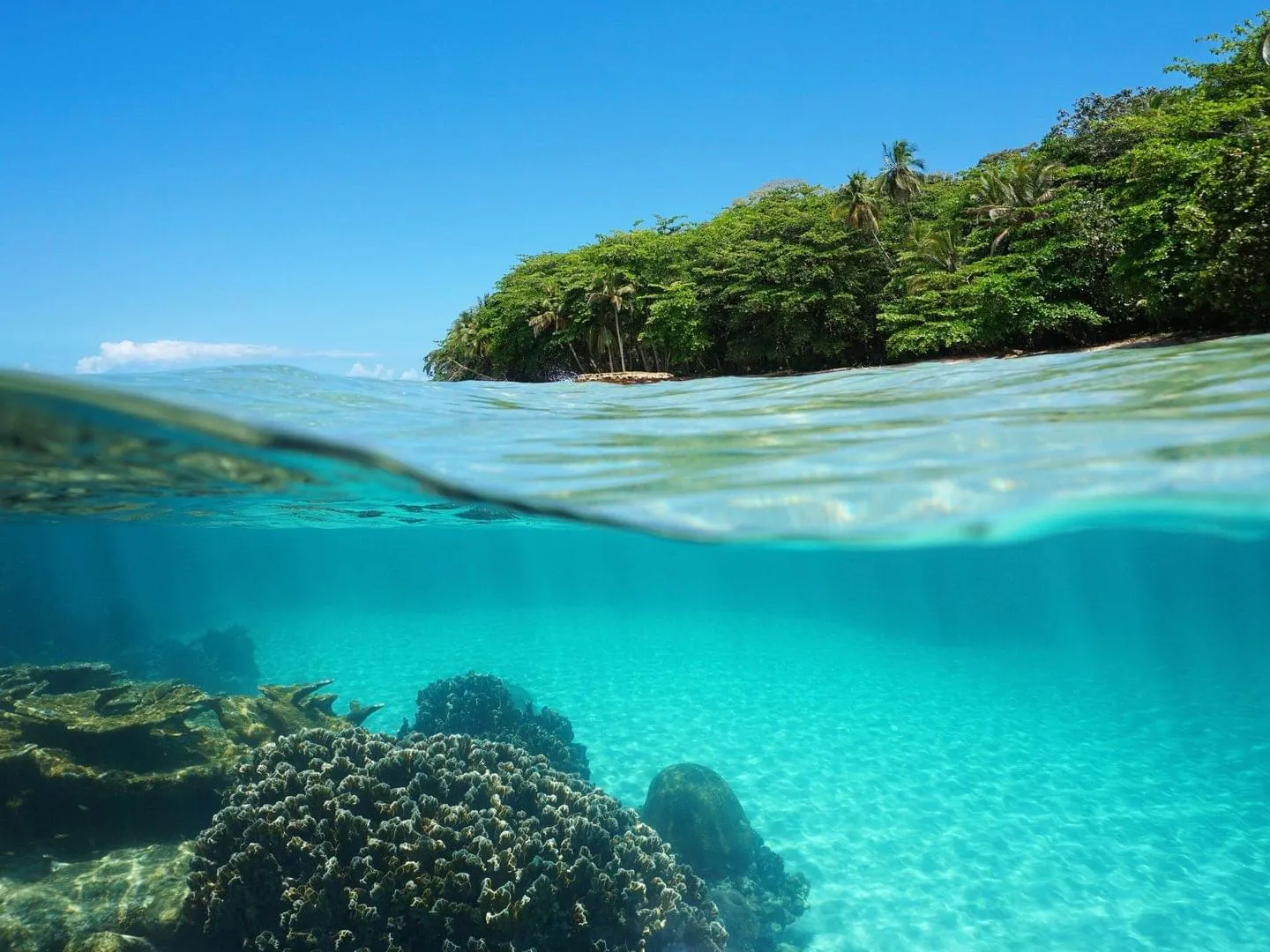 Costa Rica 1