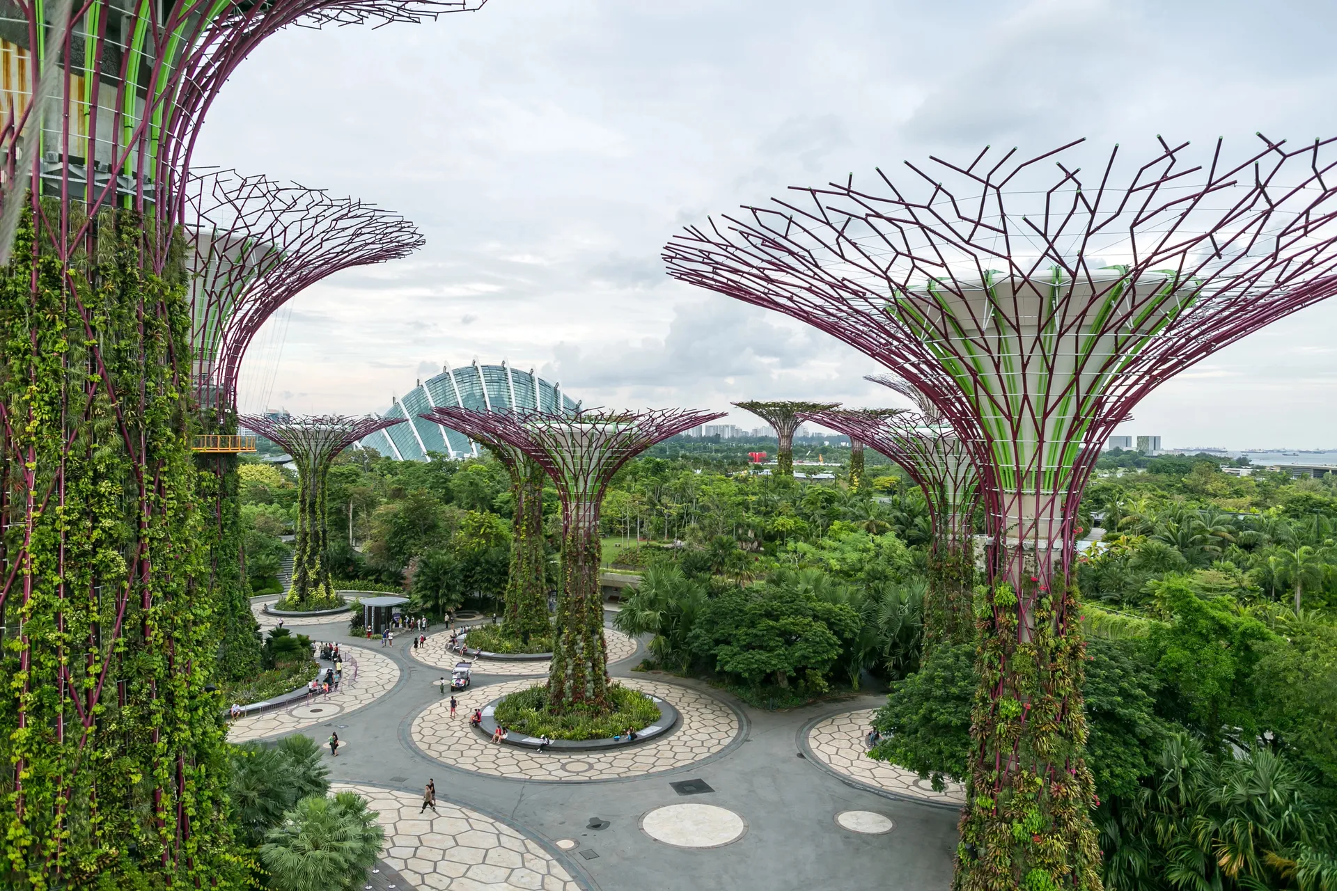 Thailandia, Vietnam, Dubai 2