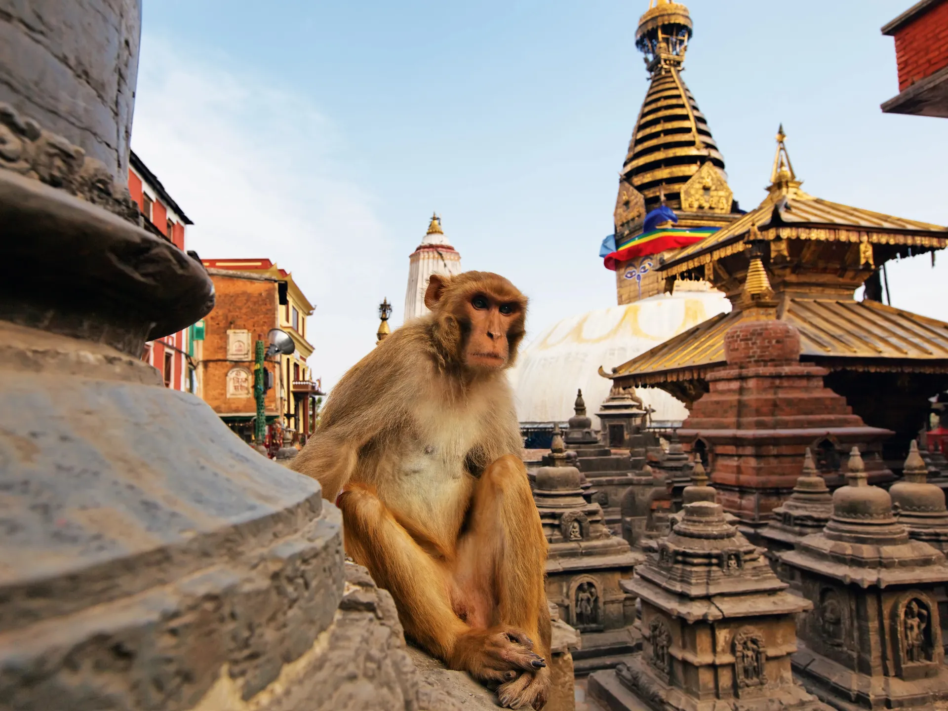 Everest 5