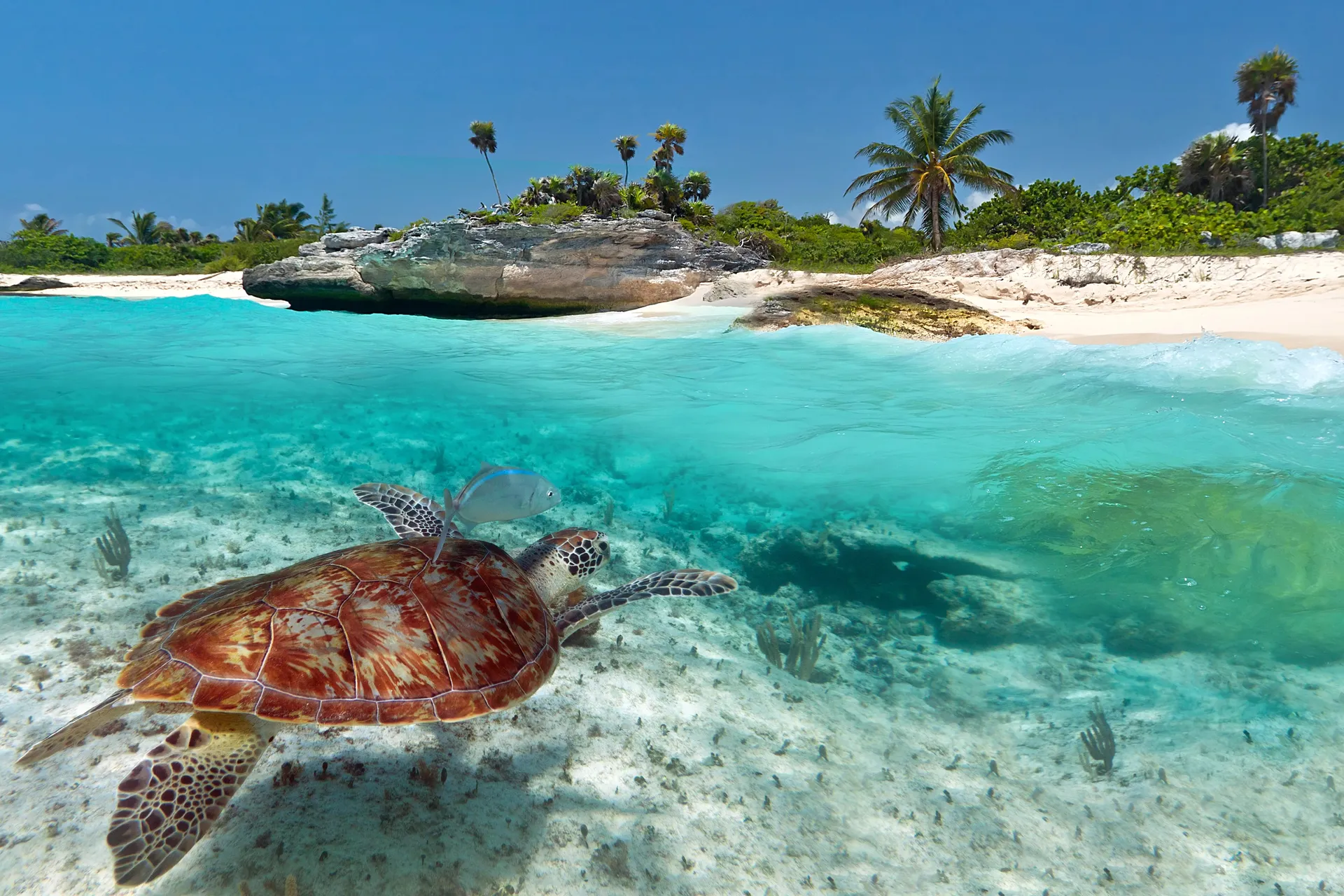 Playa del Carmen 1