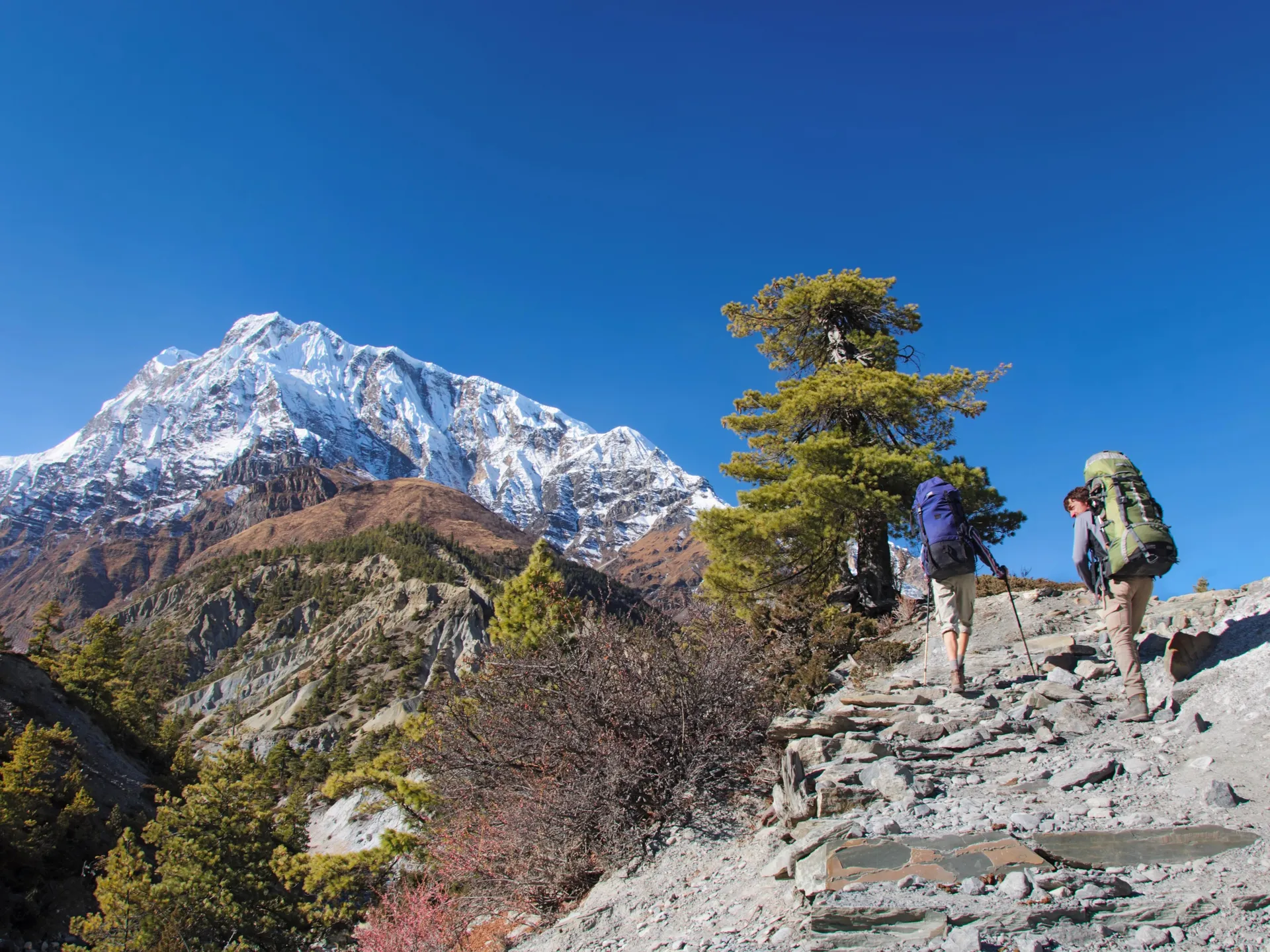 Annapurna