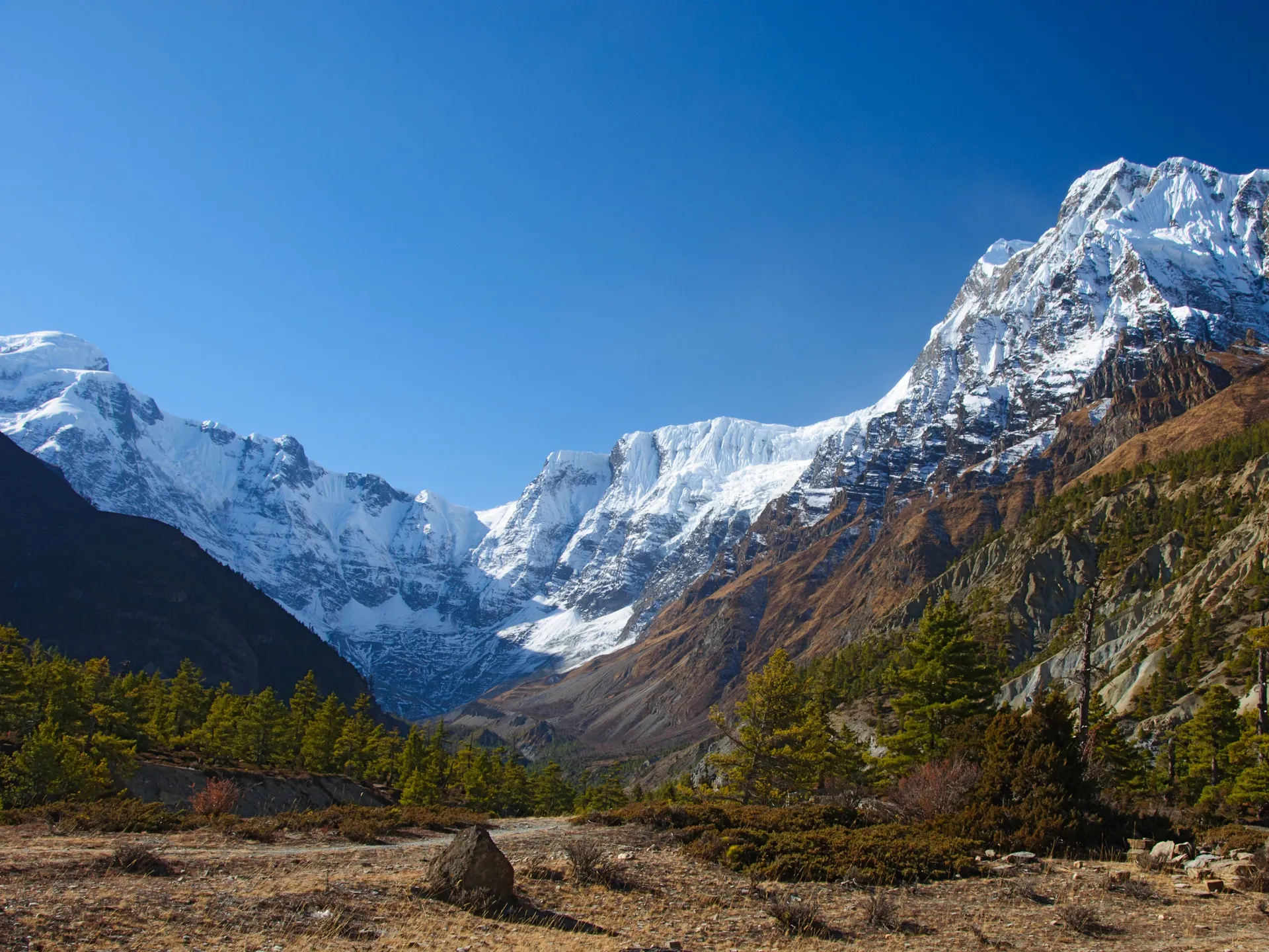 Annapurna 4