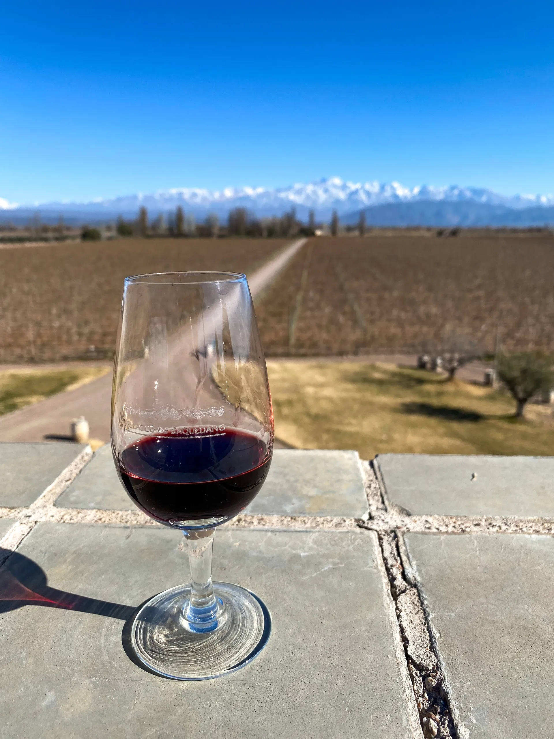 Mendoza 6