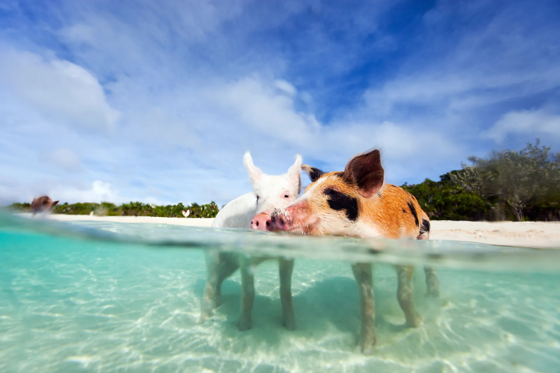 Bahamas