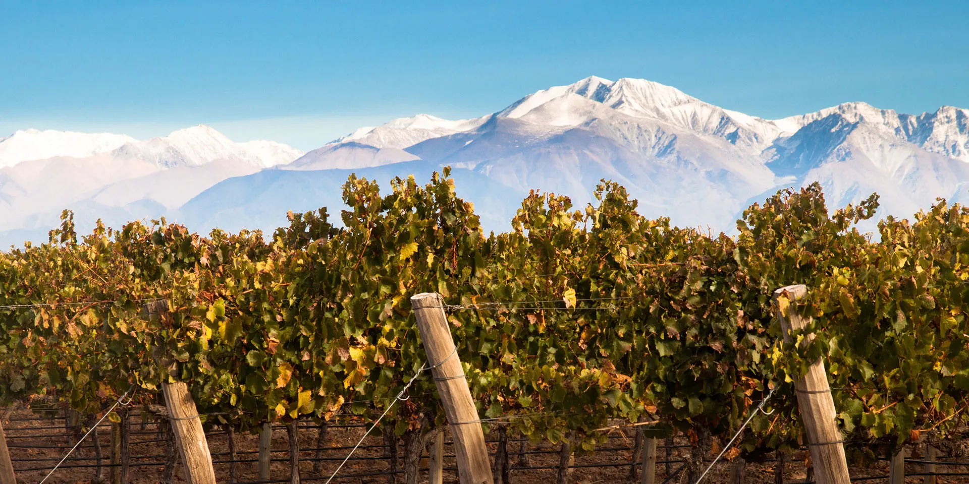 Mendoza + San Rafael 3