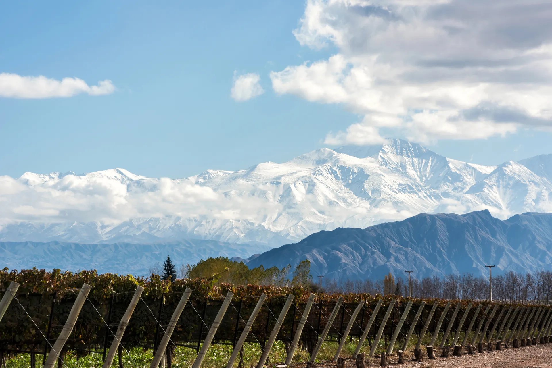 Mendoza 10