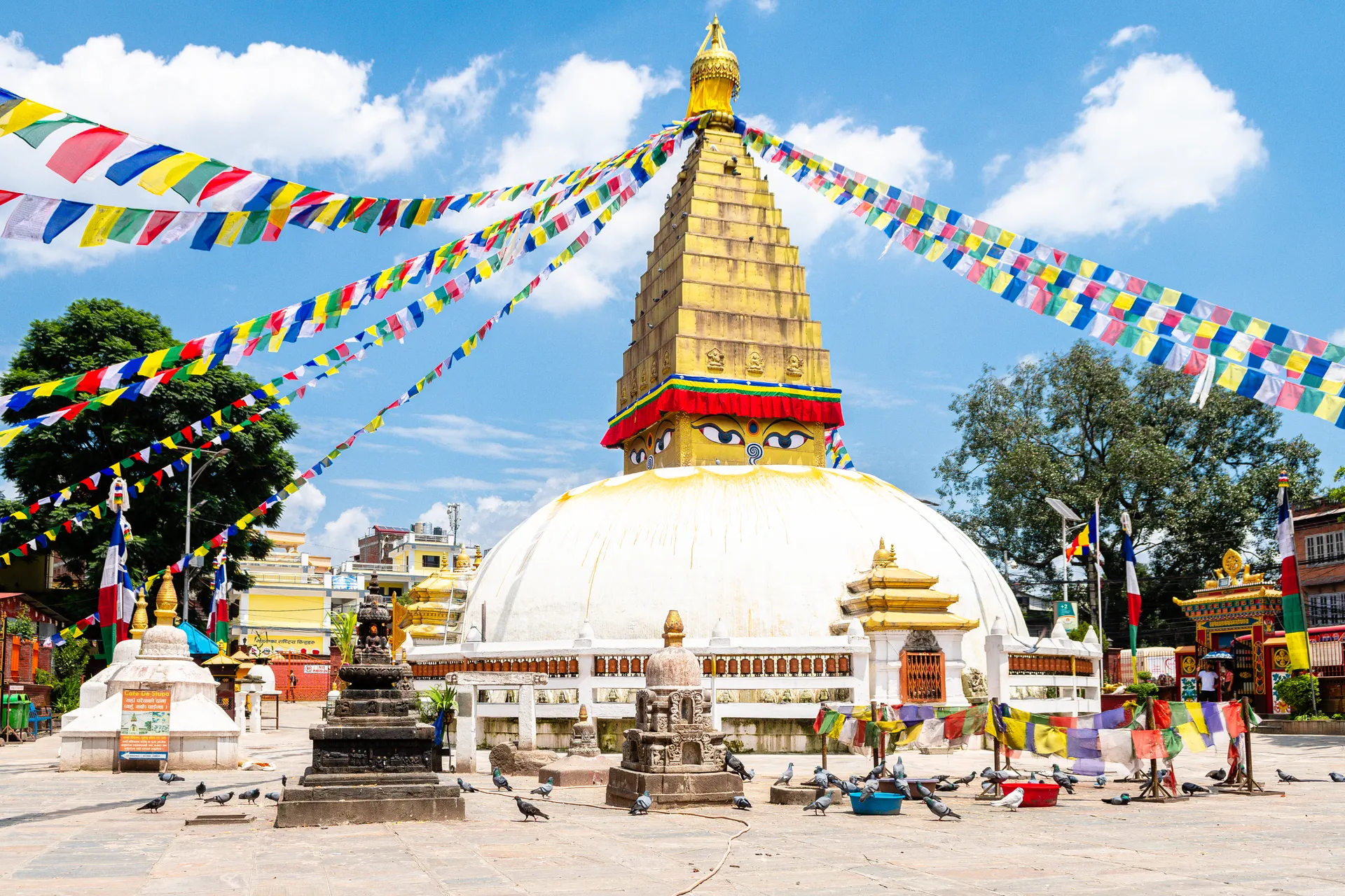 India clásica y Nepal 6